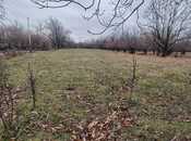 Satılır  torpaq 22 sot, photo 2 from 5