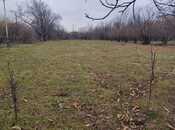 Elan №5914457 - Qəbələ, Qəbələ, 22 sot