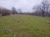 Satılır  torpaq 22 sot, photo 4 from 5