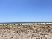 Elan №5914507 - Bakı, Türkan q., 250 sot