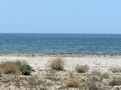 Satılır  torpaq 250 sot, Türkan q., photo 3 from 5