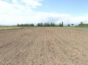 Elan №5914655 - Ağstafa, Ağstafa, 112 sot