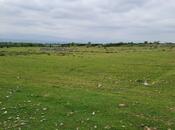 Продаётся  участок 12 сот, photo 4 from 5