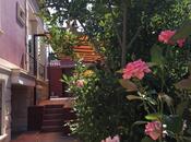 Satılır 8 otaqlı həyət evi/bağ evi 510 m², photo 2 from 8