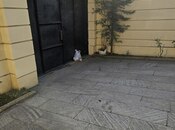 Elan №5915186 - Bakı, 9-cu mikrorayon q., 3 otaqlı, 80 m²