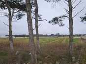 Elan №5915236 - Bakı, Maştağa q., 130 sot