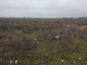 Satılır  torpaq 500 sot, Buzovna q., photo 6 from 8