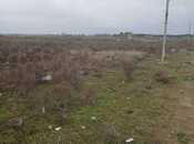 Satılır  torpaq 500 sot, Buzovna q., photo 7 from 8