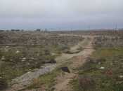 Satılır  torpaq 500 sot, Buzovna q., photo 3 from 8