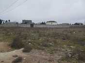 Satılır  torpaq 500 sot, Buzovna q., photo 1 from 8