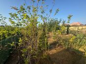 Продаётся  участок 10 сот, пос. Новханы, photo 2 from 8