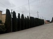 Продаётся  участок 18 сот, пос. Шувеляны, photo 4 from 8