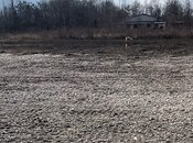 Продаётся  участок 4 сот, photo 6 from 6