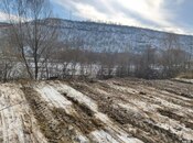 Elan №5916253 - Qusar, Qusar, 4 sot