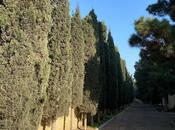 Satılır 10 otaqlı həyət evi/bağ evi 500 m², Şıxov q., photo 5 from 8