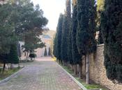 Satılır 10 otaqlı həyət evi/bağ evi 500 m², Şıxov q., photo 4 from 8