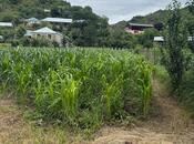 Satılır  torpaq 25 sot, photo 3 from 6