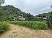 Satılır  torpaq 25 sot, photo 4 from 6