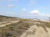 Satılır  torpaq 30 sot, Yeni Suraxanı q., photo 4 from 4