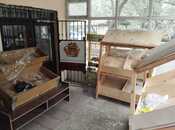 Satılır  obyekt 75 m², Əhmədli m., photo 5 from 7