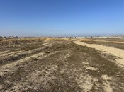 Satılır  torpaq 10 sot, Novxanı q., photo 5 from 7