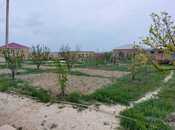 Elan №5917373 - Bakı, Pirəkəşkül q., 16 sot