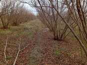 Satılır  torpaq 72 sot, Xaçmaz r., photo 5 from 5