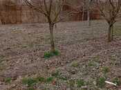 Satılır  torpaq 20 sot, photo 4 from 5