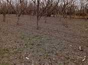 Satılır  torpaq 20 sot, photo 5 from 5