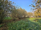 Elan №5917611 - Qəbələ, Qəbələ, 15 sot