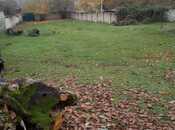 Satılır  torpaq 12 sot, photo 2 from 8