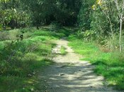 Продаётся  участок 18 сот, пос. Ази Асланова, photo 5 from 5