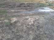 Satılır  torpaq 60 sot, Masazır q., photo 6 from 8