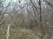 Продаётся  участок 7.5 сот, пос. Говсан, photo 4 from 4