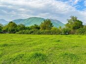 Elan №5918774 - Qəbələ, Qəbələ, 40 sot