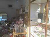 Satılır  obyekt 50 m², Əhmədli m., photo 6 from 8