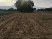 Продаётся  участок 46 сот, м. Нариман Нариманов, photo 2 from 3