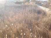 Satılır  torpaq 4 sot, Qobustan q., photo 2 from 5