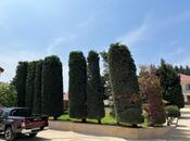 İcarəyə verilir 4 otaqlı həyət evi/bağ evi 350 m², Görədil q., photo 6 from 8