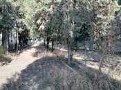 Satılır  obyekt 1 031.9 m², photo 4 from 8