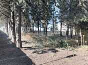 Satılır  obyekt 1 031.9 m², photo 5 from 8