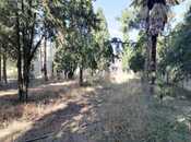 Satılır  obyekt 1 031.9 m², photo 3 from 8