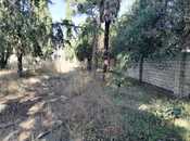 Satılır  obyekt 1 031.9 m², photo 2 from 8