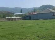 Elan №5919428 - Qəbələ, Qəbələ, 6 sot