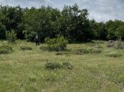 Продаётся  участок 12 сот, photo 4 from 4