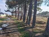 Продаётся  участок 7 сот, пос. Рамана, photo 4 from 5