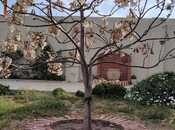 Satılır 4 otaqlı həyət evi/bağ evi 200 m², Zirə q., photo 6 from 8