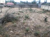 Elan №5919811 - Bakı, Badamdar q., 4 sot