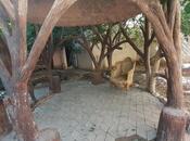 Продаётся 15-комн. дом/дача 750 м², м. Насими, photo 3 from 8