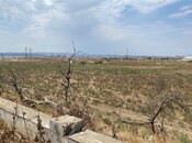 Продаётся  участок 250 сот, пос. Мамедли, photo 2 from 5